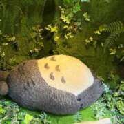 ヒメ日記 2026/06/22 12:11 投稿 すみれ 激安ドットコム