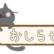 ヒメ日記 2024/04/01 13:16 投稿 えみ 茨城ちゃんこ土浦つくば店