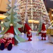 ヒメ日記 2025/12/10 23:58 投稿 まよ ホテピン