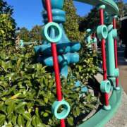 ヒメ日記 2025/12/18 10:28 投稿 まよ ホテピン