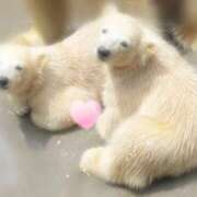 ヒメ日記 2025/07/31 16:06 投稿 まりの 奥様鉄道69 仙台店