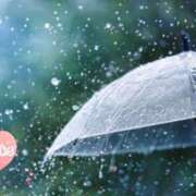 ヒメ日記 2025/09/05 23:16 投稿 まりの 奥様鉄道69 仙台店