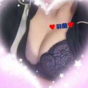 ヒメ日記 2025/01/26 21:36 投稿 羽蘭 (うらん)・Gランク 8Seasons(エイトシーズン)