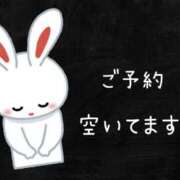 ヒメ日記 2025/03/19 10:46 投稿 羽蘭 (うらん)・Gランク 8Seasons(エイトシーズン)