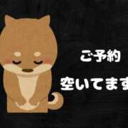 ヒメ日記 2025/03/20 09:46 投稿 羽蘭 (うらん)・Gランク 8Seasons(エイトシーズン)