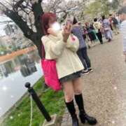 ヒメ日記 2026/04/11 00:12 投稿 平野ゆみ 蒲田ウルトラギャラクシー