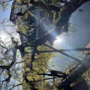 ヒメ日記 2024/12/08 23:10 投稿 りょうこ 横浜熟女MAX