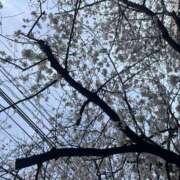 ヒメ日記 2025/04/05 18:45 投稿 りょうこ 横浜熟女MAX