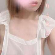 ヒメ日記 2025/06/01 07:35 投稿 りょうこ 横浜熟女MAX