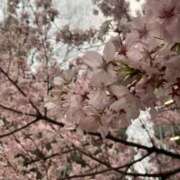 ヒメ日記 2025/04/04 22:39 投稿 るみな 舐めたくてグループ〜ペロンチョ学園〜八王子校