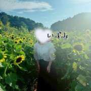 ヒメ日記 2025/08/17 19:42 投稿 いずみ 熟女の風俗最終章 宇都宮店