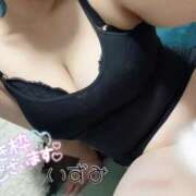 ヒメ日記 2025/09/26 07:41 投稿 いずみ 熟女の風俗最終章 宇都宮店