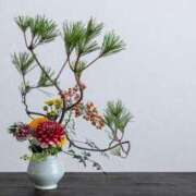 ヒメ日記 2026/01/03 13:05 投稿 黒崎 華恋人(カレント)