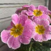 ヒメ日記 2026/02/07 07:27 投稿 黒崎 華恋人(カレント)