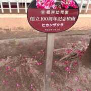 ヒメ日記 2026/03/18 16:17 投稿 黒崎 華恋人(カレント)