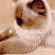 ヒメ日記 2025/05/09 11:13 投稿 みよ 手コキガールズコレクション