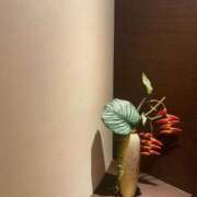 ヒメ日記 2025/09/18 09:33 投稿 みよ 手コキガールズコレクション