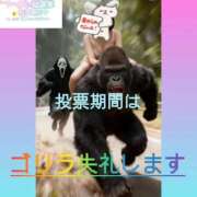 ヒメ日記 2025/11/18 21:23 投稿 みよ 手コキガールズコレクション