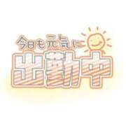 ヒメ日記 2023/11/08 11:18 投稿 あきほ 大高・大府市・東海市ちゃんこ