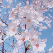 ヒメ日記 2025/04/04 21:39 投稿 そな 豊満奉仕倶楽部