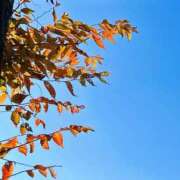 ヒメ日記 2025/11/26 15:19 投稿 そな 豊満奉仕倶楽部