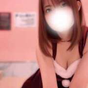 ヒメ日記 2024/12/19 08:56 投稿 さいか マリン千姫