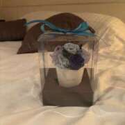 ヒメ日記 2026/03/14 20:40 投稿 ゆりね 逢って30秒で即尺