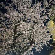 ヒメ日記 2026/03/17 19:30 投稿 ゆりね 逢って30秒で即尺