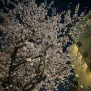 ヒメ日記 2026/03/18 21:29 投稿 ゆりね 逢って30秒で即尺