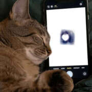 ヒメ日記 2026/03/18 21:37 投稿 ゆりね 逢って30秒で即尺