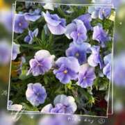 ヒメ日記 2026/04/14 08:35 投稿 ゆりね 逢って30秒で即尺