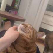 ヒメ日記 2025/03/16 16:22 投稿 なぎ ENTERTAINMENT SOAP LOVE VEGAS(ラブベガス)