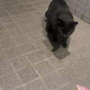 ヒメ日記 2025/04/28 18:16 投稿 なぎ ENTERTAINMENT SOAP LOVE VEGAS(ラブベガス)