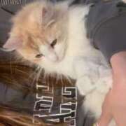 ヒメ日記 2025/05/08 20:56 投稿 なぎ ENTERTAINMENT SOAP LOVE VEGAS(ラブベガス)