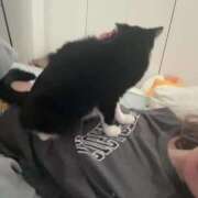 ヒメ日記 2025/05/20 07:56 投稿 なぎ ENTERTAINMENT SOAP LOVE VEGAS(ラブベガス)