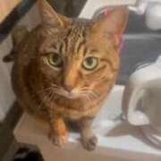 ヒメ日記 2025/06/16 11:06 投稿 なぎ ENTERTAINMENT SOAP LOVE VEGAS(ラブベガス)