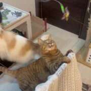 ヒメ日記 2025/06/24 23:26 投稿 なぎ ENTERTAINMENT SOAP LOVE VEGAS(ラブベガス)