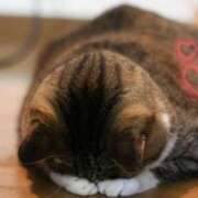 ヒメ日記 2025/08/31 07:01 投稿 すみれ 性感エステBianca豊中店