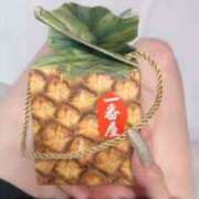 ヒメ日記 2025/11/22 19:41 投稿 かりん THE ESUTE 五反田店