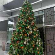 ヒメ日記 2025/12/26 06:20 投稿 かりん THE ESUTE 五反田店