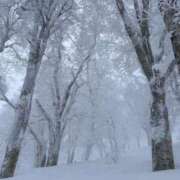 ヒメ日記 2026/01/28 19:50 投稿 かりん THE ESUTE 五反田店