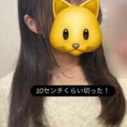 ヒメ日記 2025/11/04 12:04 投稿 カコ OLの品格 クラブアッシュ