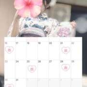 カコ 8月後半🌺☀️ OLの品格 クラブアッシュ