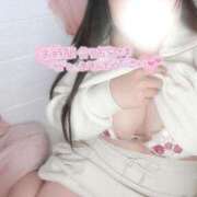 ヒメ日記 2025/04/02 13:04 投稿 ゆめ ふわふわコレクション