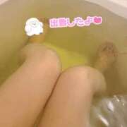 ヒメ日記 2025/04/17 09:59 投稿 うた イエスグループ熊本 TSUBAKI(ツバキ)