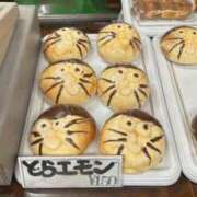 橋本 ななみ ねずみとりがねずみになる、、🐭 アリス女学院 日本橋校