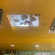 ヒメ日記 2026/01/22 14:59 投稿 橋本 ななみ アリス女学院 日本橋校