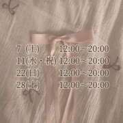 橋本 ななみ 2月の予定✏️ アリス女学院 日本橋校