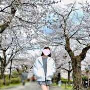 ヒメ日記 2025/04/09 17:08 投稿 ちあき THE ESUTE 五反田店