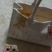 ヒメ日記 2024/12/31 13:55 投稿 渚/なぎ　centu STYLISH BACH